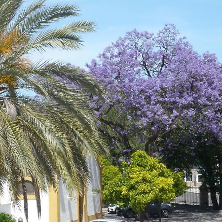 Real Escuela Home Jerez de la Frontera Zewnętrze zdjęcie