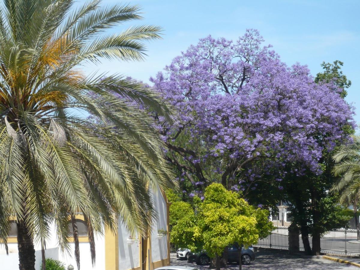 Real Escuela Home Jerez de la Frontera Zewnętrze zdjęcie